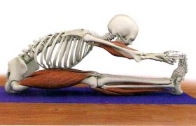 Yoga é ciência