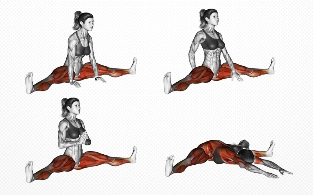 Upavistha Konasana