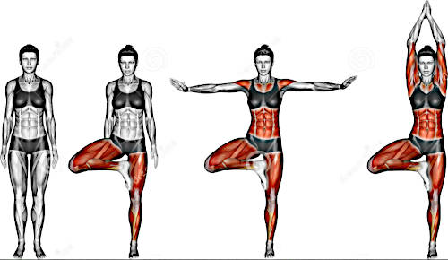 preparação do vrikshasana