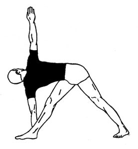Parivrtta Trikonasana