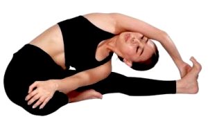 Janusirsasana