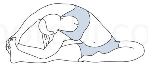 Janusirsasana