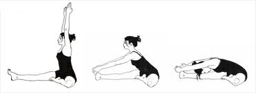 Janusirsasana