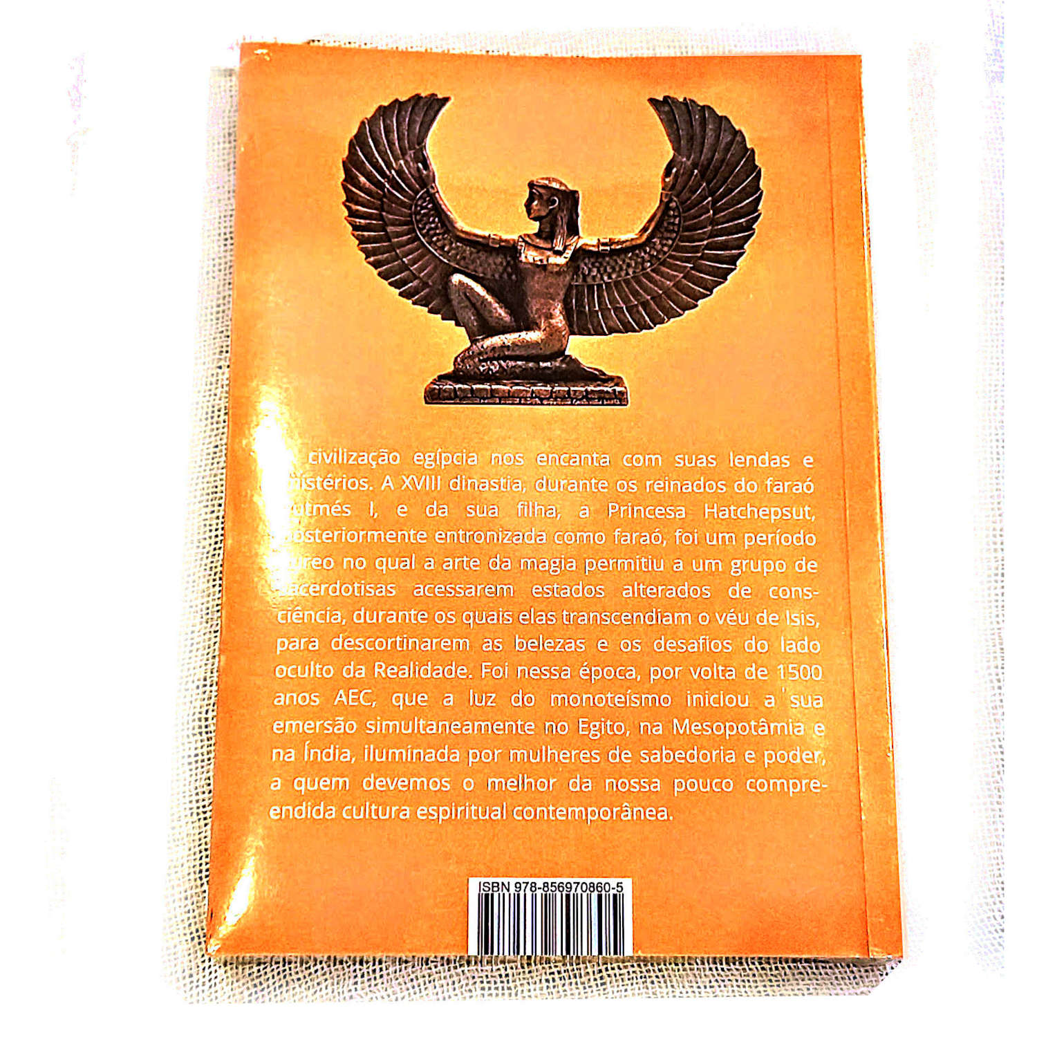 Livro de Osvaldo Luiz Marmo a Sacerdotisa da luz costas