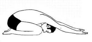 Dharmikasana