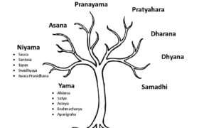 Sadhana