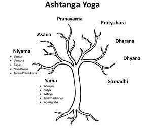 Sadhana